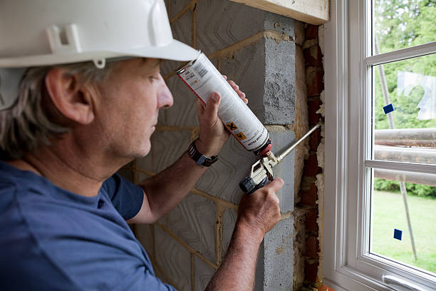 Best Geographic-Specific Insulation Services in Junction City, KS