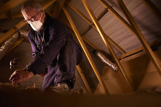 Best Cellulose Insulation in Junction City, KS